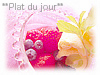 VsO**Plat du jour**