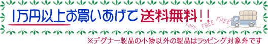 �ǥ��ʡ�