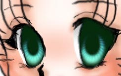 見本