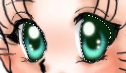 見本